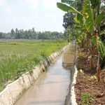 Proyek-Irigasi-Inpres-di-Lampung-Tengah-Menuai-Kritik